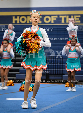 PSZ_19375714