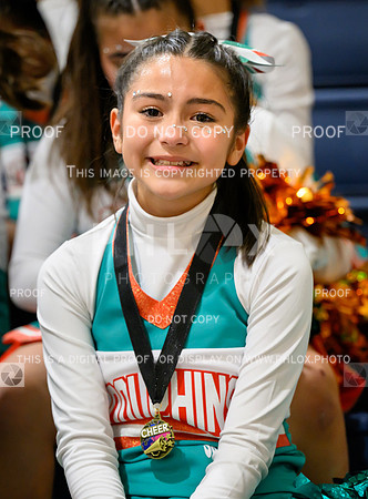 PSZ_19415806