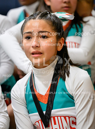 PSZ_19424609
