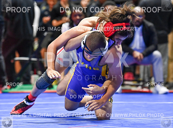 DLS_7008
