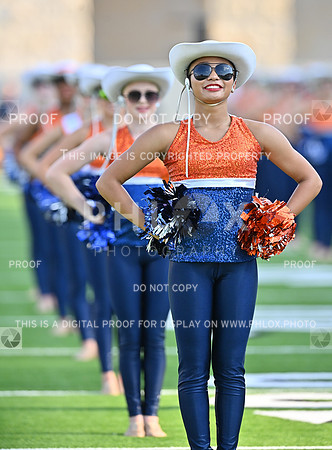 DLS_8353