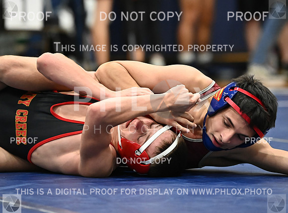 DLS_4184