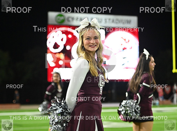FS6_6067