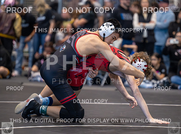 DLS_3009