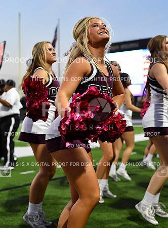 FDS_5534