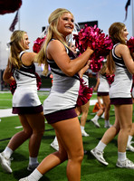 FDS_5531