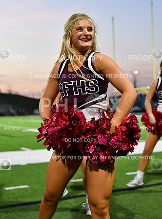 FDS_5603