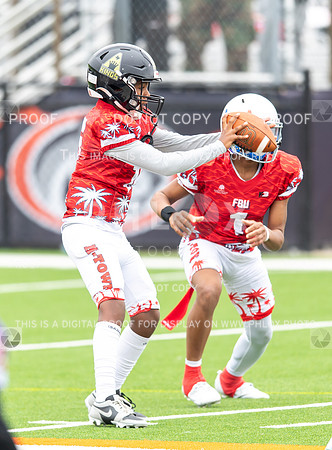 CAR_7021