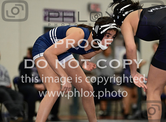 TD6_8335