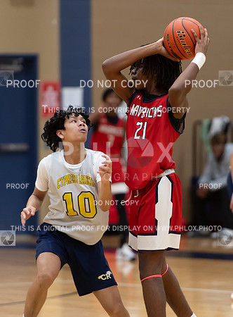 CAR_8204