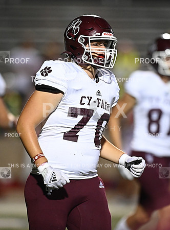 DLS_8292