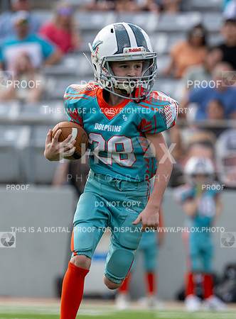 12pm Freshman -Vikings (V) vs Dolphins (H)-80