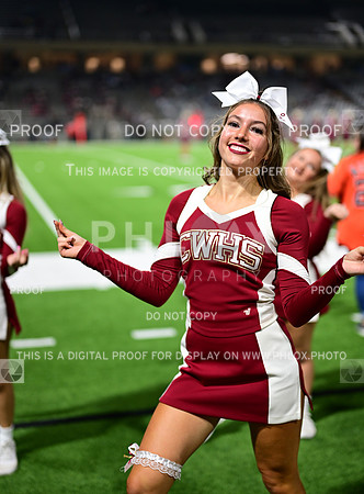 TOM_7302