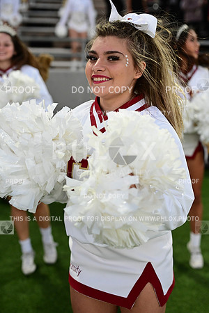 TOM_0781