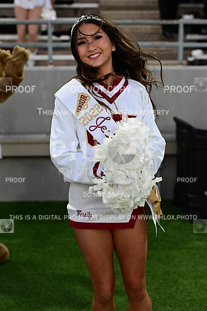 TOM_0784