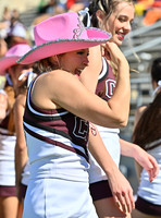 DLS_2247
