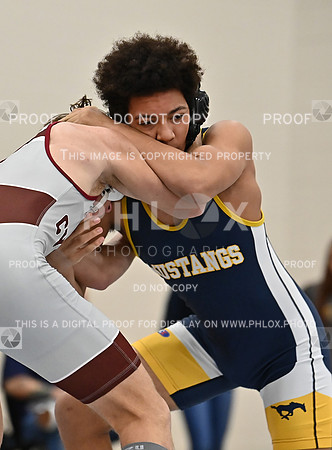 DLS_4214
