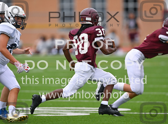 DLS_0416