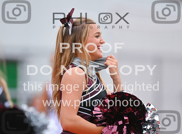 DLS_0601