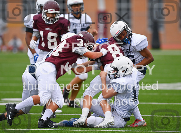 DLS_0401