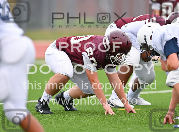 DLS_0381