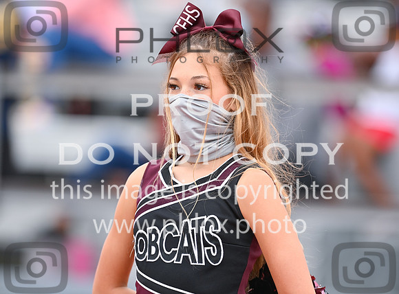 DLS_0573
