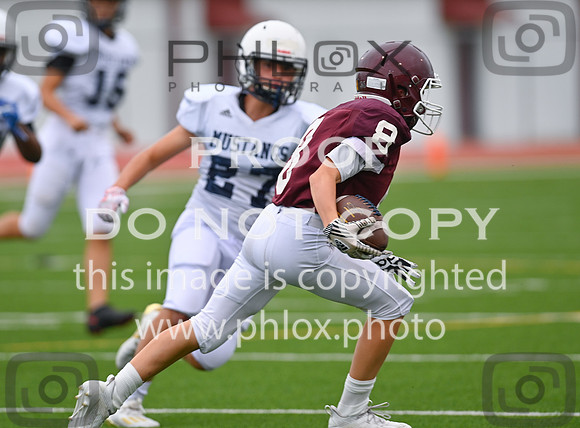 DLS_0396