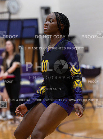 DLS_0107