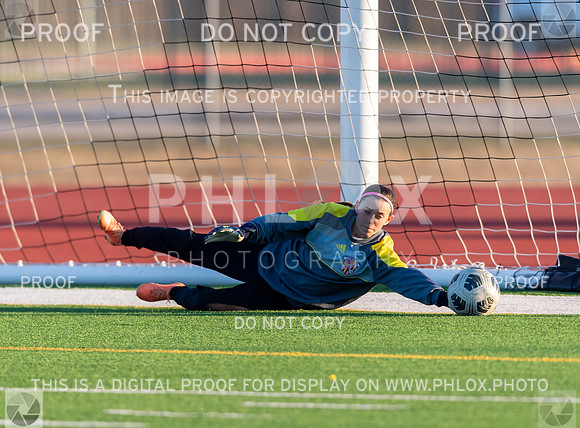 CAR_019