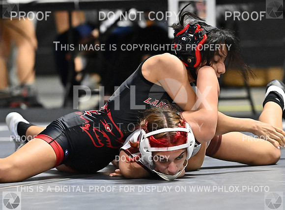 DLS_7194