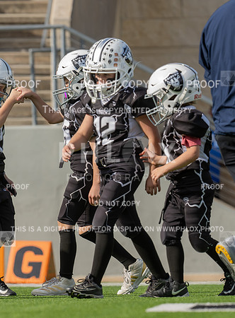 10am Rookie -Bears (V) vs Raiders (H)-100