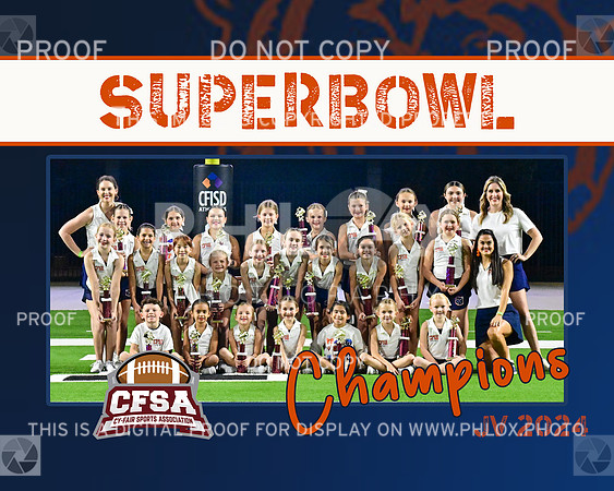 CFSA GAME 5 JV BEARS CHEER