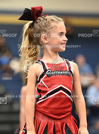 DLS_7066