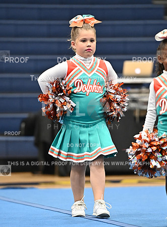 DLS_7093