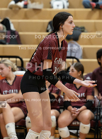 DLS_7314
