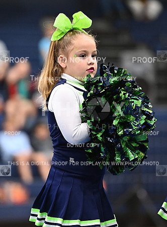DLS_8096