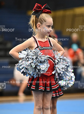 DLS_8139