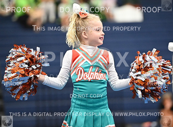 DLS_8378