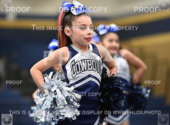 DLS_0781