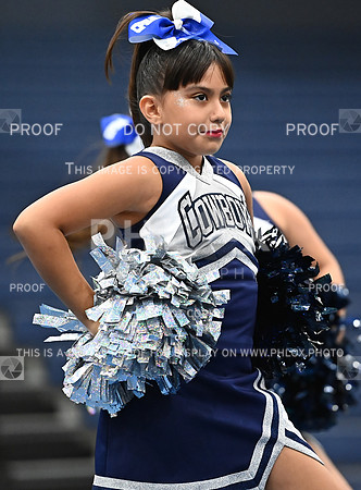 DLS_0785