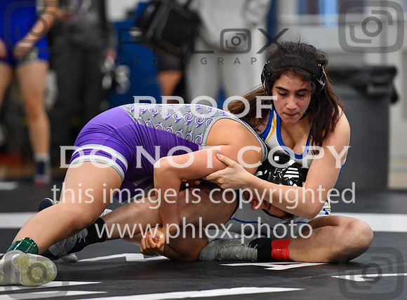FDS_0366