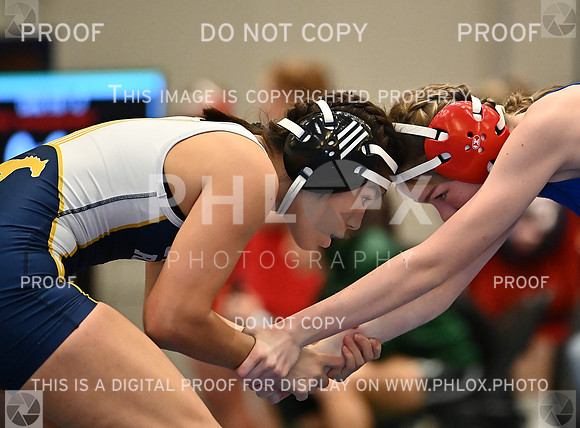 DLS_8056