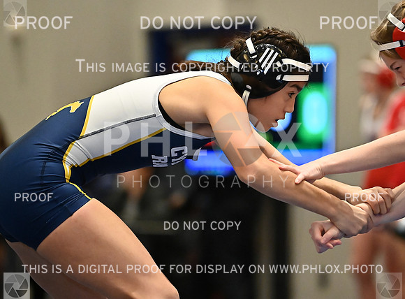 DLS_8055