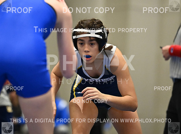 DLS_8058