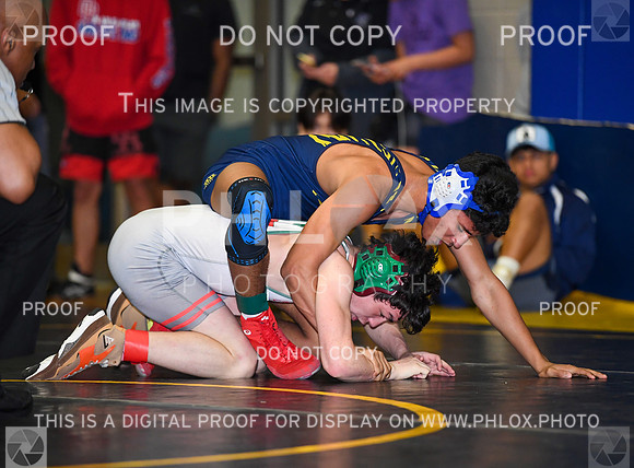 FDS_3927