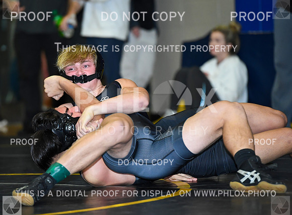FDS_3981