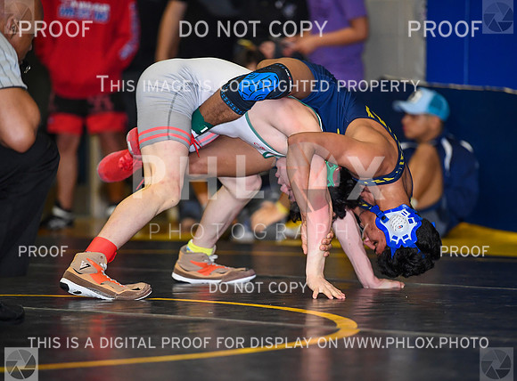 FDS_3928