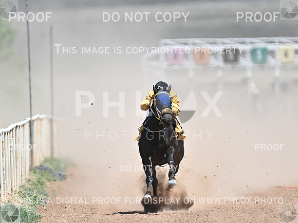 phlox-015