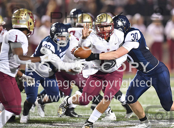 TOM_4451