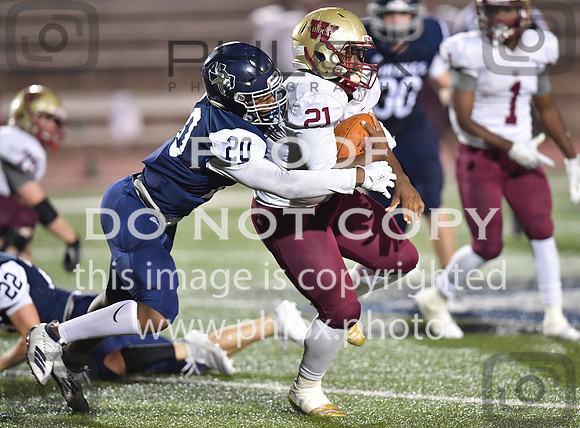 TOM_4641
